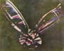 World’s First Colour Photo of Tartan Ribbon