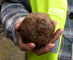 A Cannonball, a Sheepskin and a Loch Village