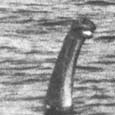 The Loch Ness Monster