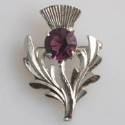 Thistle Brooch