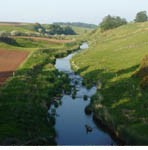 Blackadder River