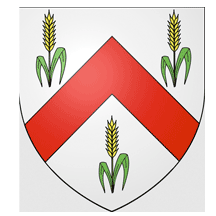 View Riddell Coats of Arms >>