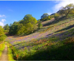 A Northward Meandering – Walking the West Highland Way – Part Two.