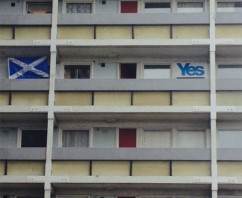 The View From the Ground in Aberdeen