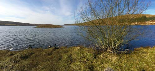 The Council Isle Finlaggan, photo taken earlier this year when we visited Islay.