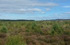 A Walk Through Culloden