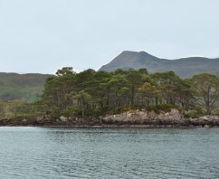 The Secrets of Isle Maree