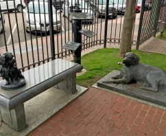 Greyfriars’ Bobby and Bum the Dog!